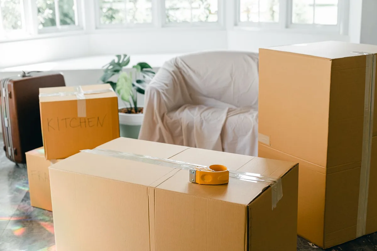 Hoarding Cleanup in Los Ranchos, CA